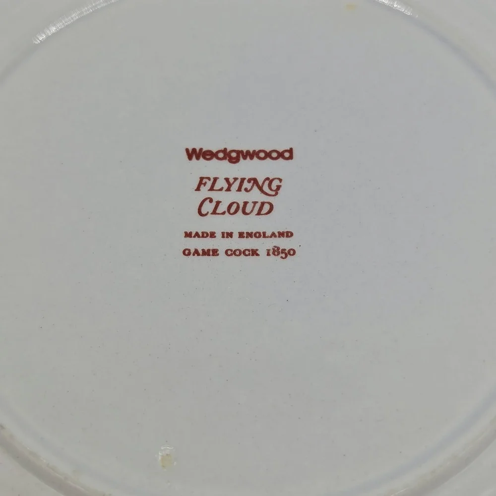 3x Wedgwood Flying Cloud Georgetown Collection Rust 6
